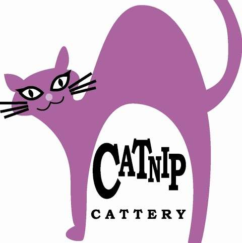Photo: Catnip Cattery